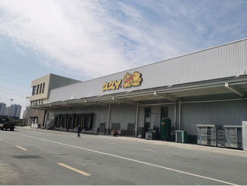 久久丫20周年 安徽、天津新工廠投產，高標準開疆擴土引領行業(yè)新篇章